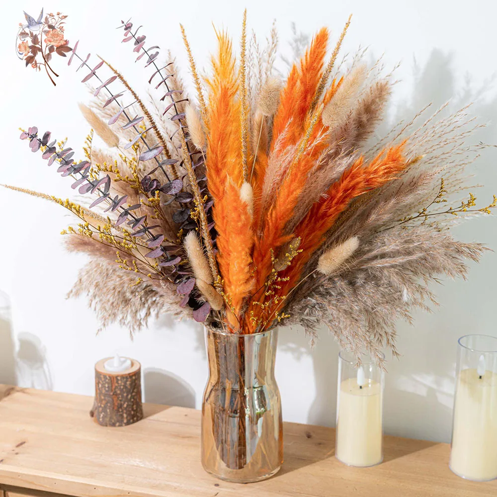 Eucalyptus Preserved - 60pcs Orange Pampas Grass Dried Flowers