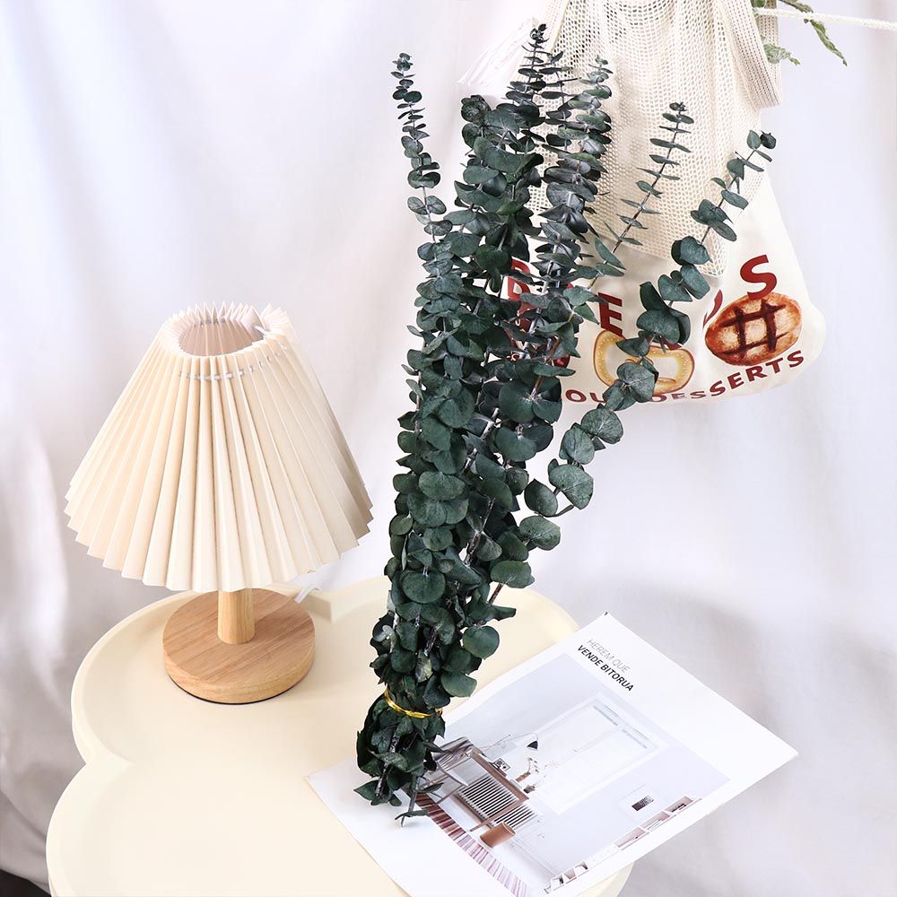 10 Pcs Real Leaves Hanging Dri - Eucalyptus Preserved recension och pris
