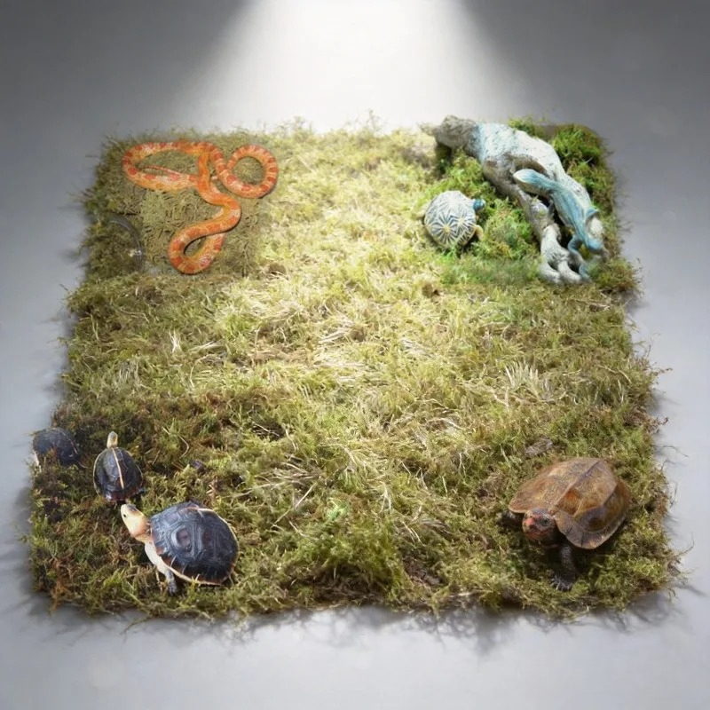 Natural Dried Moss Reptile Ter - Preserved Moss Sheet recension och pris